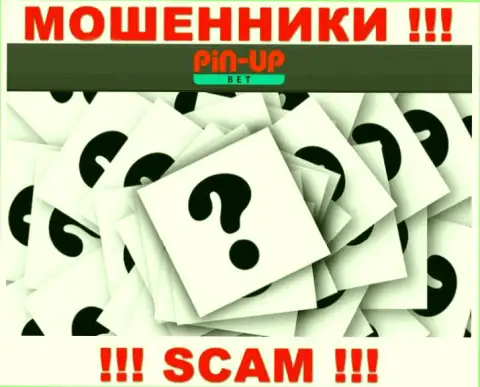 На web-сайте PinUpBet не указаны их руководители - мошенники без всяких последствий крадут вложенные денежные средства