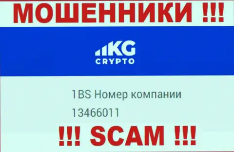 Номер регистрации организации Крипто КГ, в которую финансовые средства советуем не вводить: 13466011