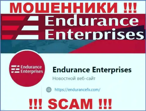 Установить связь с internet обманщиками из организации EnduranceFX Вы можете, если отправите сообщение на их адрес электронной почты