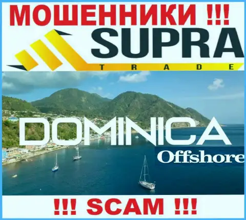 Организация Supra Trade прикарманивает денежные средства лохов, расположившись в оффшоре - Dominica