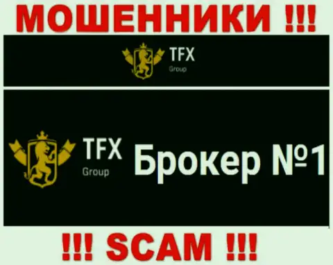 Не нужно доверять денежные средства TFX FINANCE GROUP LTD, так как их область работы, ФОРЕКС, капкан