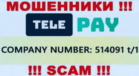 Рег. номер Tele Pay, который предоставлен мошенниками у них на интернет-портале: 514091 t/1