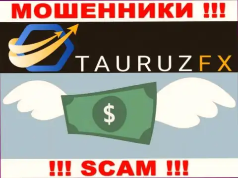 Брокерская организация ТаурузФХ Ком работает лишь на ввод денежных активов, с ними вы ничего не сможете заработать