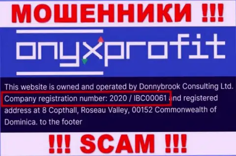 Номер регистрации, который присвоен компании Donnybrook Consulting Ltd - 2020 / IBC00061