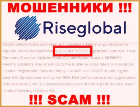 Номер регистрации Rise Global, который мошенники указали на своей интернет странице: 103595