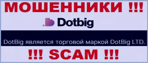 Dot Big - юридическое лицо internet-мошенников организация DotBig LTD