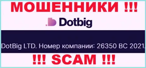Регистрационный номер мошенников DotBig, расположенный ими у них на сайте: 26350 BC 2021