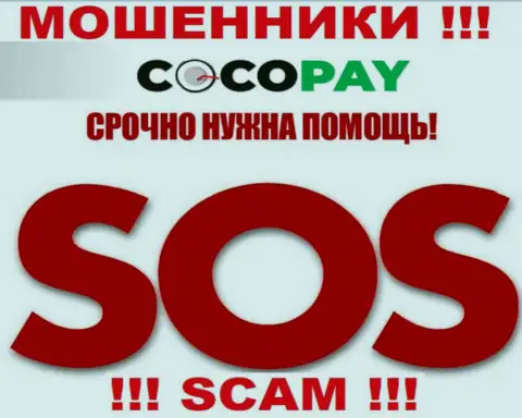 Можно еще попытаться забрать денежные вложения из компании Coco Pay Com, обращайтесь, сможете узнать, что делать