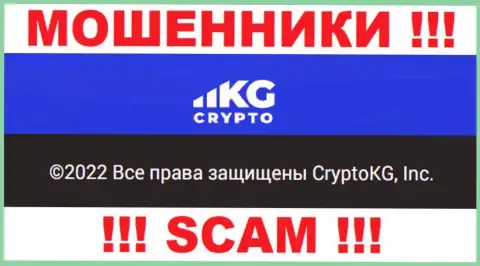 CryptoKG - юридическое лицо мошенников контора CryptoKG, Inc