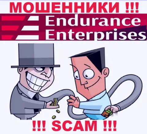 Дохода с Endurance Enterprises Вы не получите - не стоит вводить дополнительные финансовые активы
