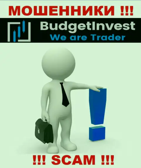 BudgetInvest это интернет мошенники !!! Не говорят, кто ими руководит