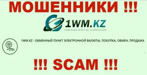 Деятельность мошенников 1WM Kz: Internet-обменник - замануха для малоопытных людей