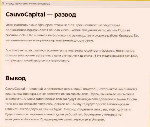 Обзор Cauvo Capital, что представляет собой контора и какие высказывания ее реальных клиентов