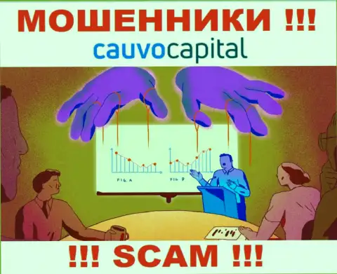 Крайне опасно соглашаться связаться с internet мошенниками CauvoCapital, прикарманивают финансовые вложения