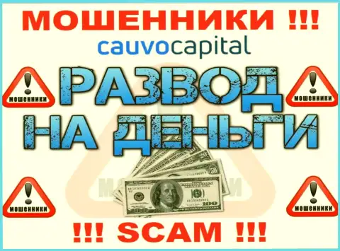 Даже не надейтесь, что с дилинговой конторой Cauvo Capital можно преувеличить прибыль, вас обманывают