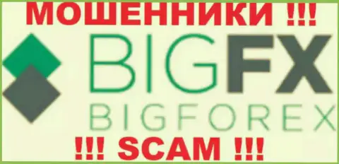BigFX Net - это МОШЕННИКИ !!! SCAM !!!